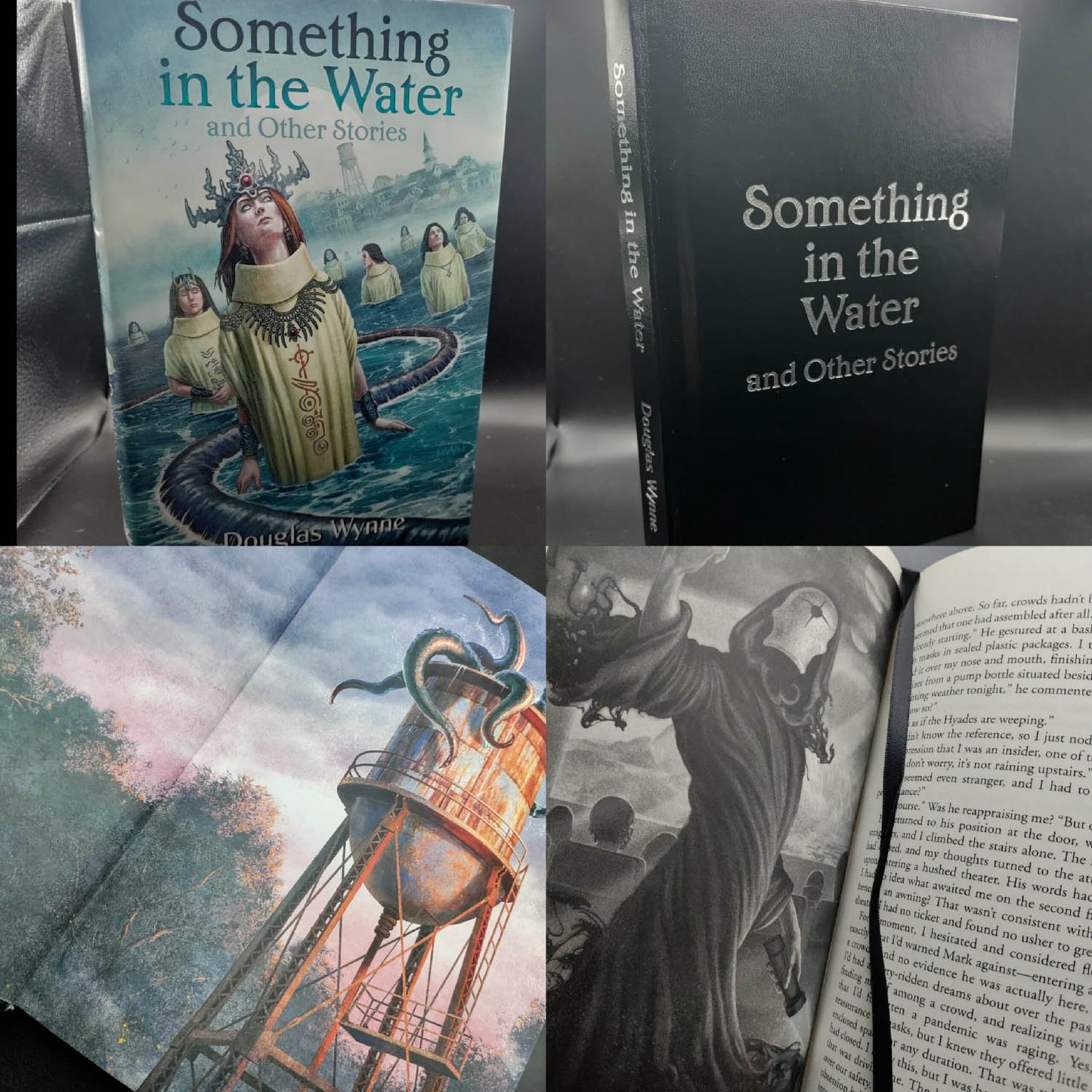 Something in the Water and Other Stories by Douglas Wynne