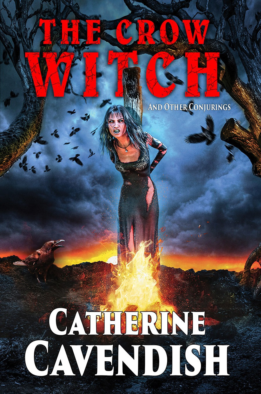 The Crow Witch and Other Conjurings by Catherine Cavendish